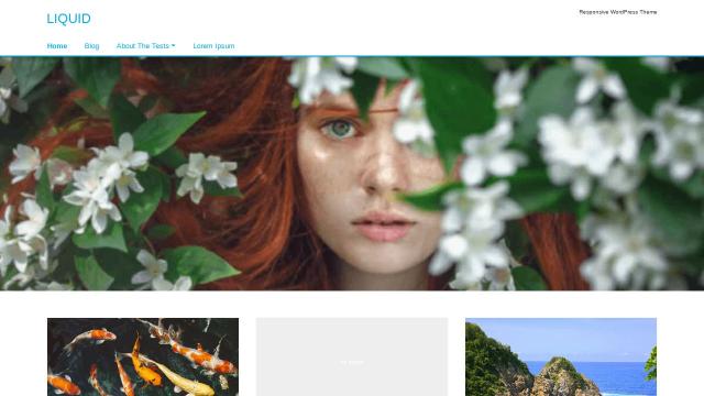 2800 Website Design Examples Showcase In United States 2024 us 